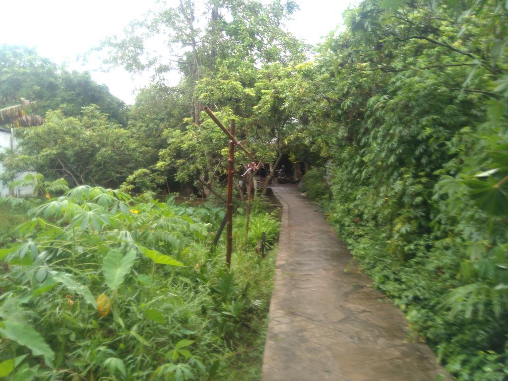 Homestay Ngoc Sang Vĩnh Long エクステリア 写真